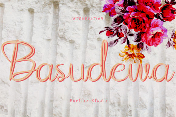 Basudewa: A Playful Font That Elevates Branding