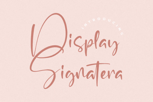 Display Signatera: Elevating Campaigns with a Unique Typeface