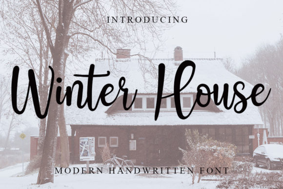 Winter House Script Font Review
